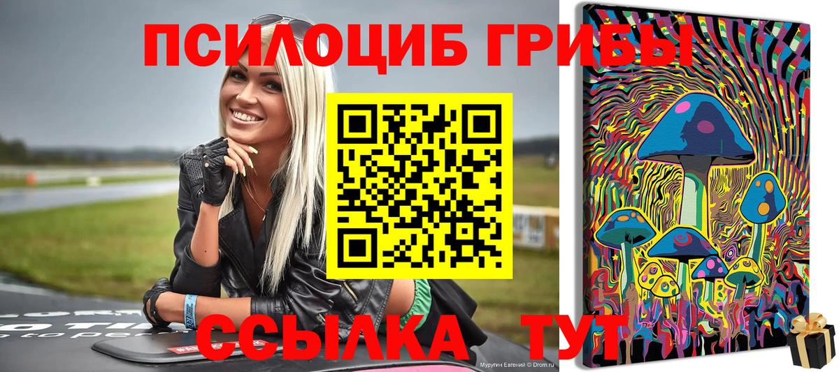 Псилоцибиновые грибы Magic Shrooms Кимовск